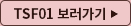 TSF01 보러가기